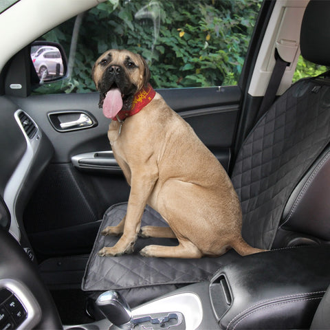 Hondendeken Auto - Autostoelhoes - Comfort Layer