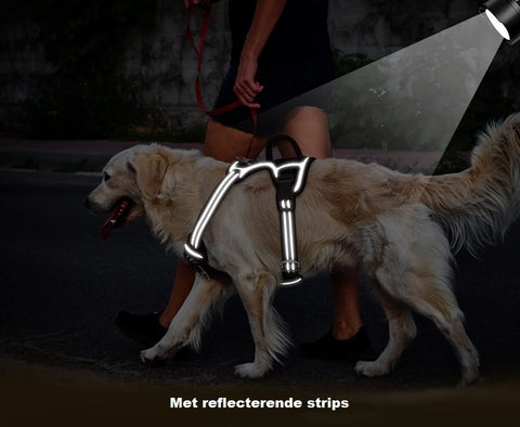 Hondentuigje - Y Tuig Hond - Reflecterend - Zwart